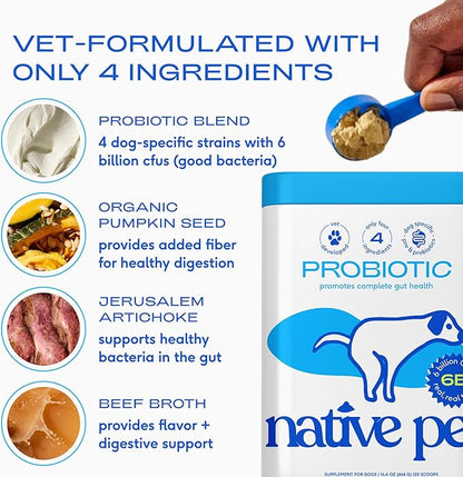Native Pet Probiotics for Dogs – Dog Probiotic Powder for Gut & Digestive Health, Vet-Formulated 6B CFUs Dog-Specific Probiotic Strains, Supports Stool Quality & Diet Transitions – 240 Scoops