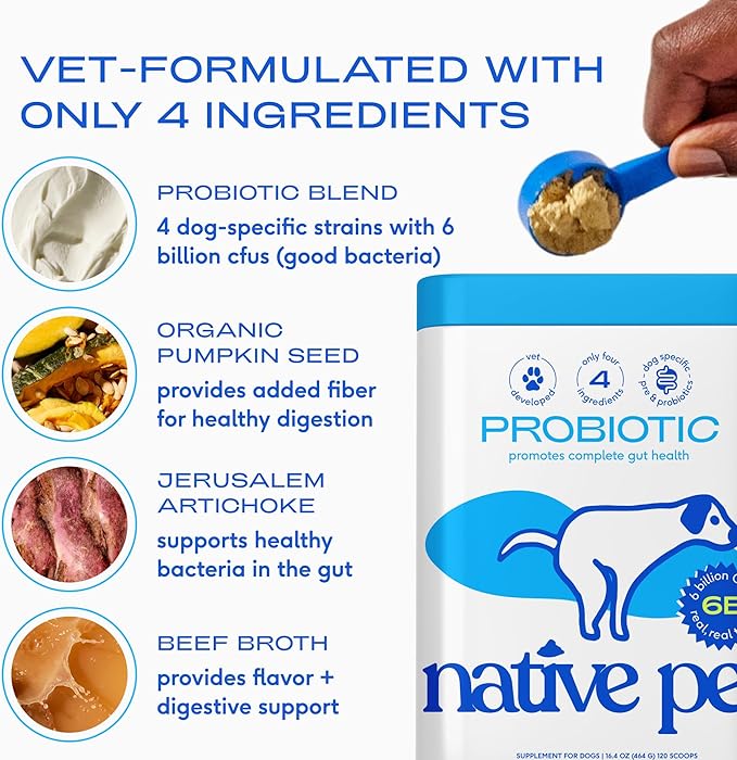 Native Pet Probiotics for Dogs – Dog Probiotic Powder for Gut & Digestive Health, Vet-Formulated 6B CFUs Dog-Specific Probiotic Strains, Supports Stool Quality & Diet Transitions – 120 Scoops