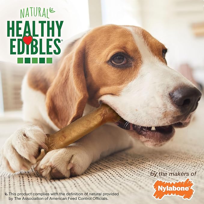 Nylabone Healthy Edibles Natural Dog Chews Long Lasting Roast Beef Flavor Treats for Dogs,Medium/Wolf,2 Count (Pack of 3)