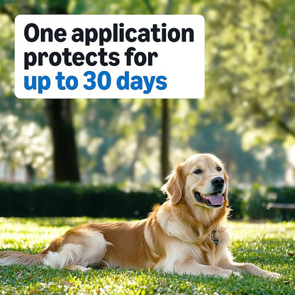 Amazon Basics Preventative Flea and Tick Topical Treatment for Dogs, Medium Dog (23-44 lbs), Fast Acting and Long Lasting, 3 Counts, Packaging May Vary