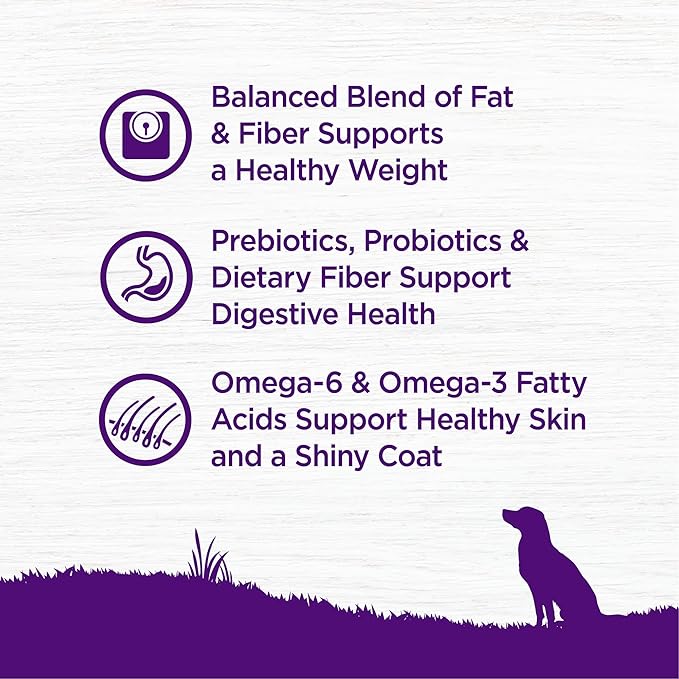 Wellness Complete Health Dry Dog Food, Wholesome Grains, Natural, Healthy Weight Chicken & Peas Recipe, (13-Pound Bag)