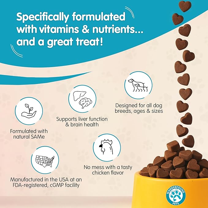 Same 100, Liver Support for Dogs, SAM e Chewable Hepatic Support for Dogs, Promotes Cell Membrane Strength, Bacon Flavor - Soft Chew Treats