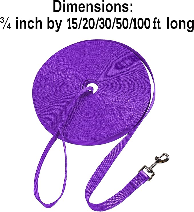 Hi Kiss Dog/Puppy Obedience Recall Training Agility Lead - 15ft 20ft 30ft 50ft 100ft Training Leash - Great for Training, Play, Camping, or Backyard Purple 100 Feet