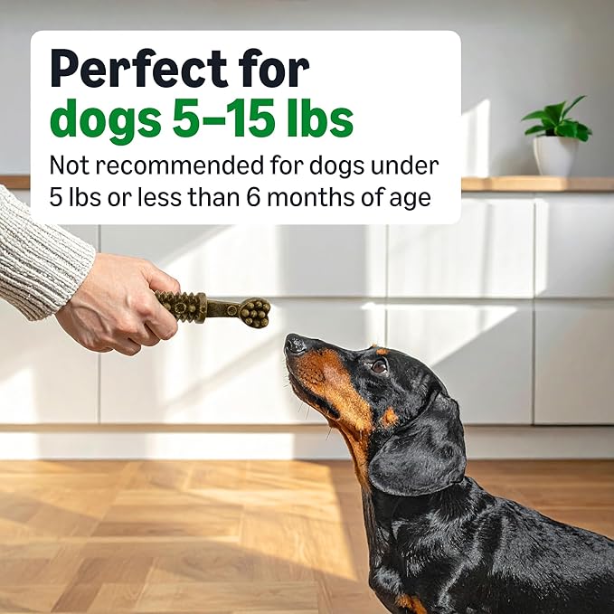 Amazon Basics Dental Dog Treats to Help Clean Teeth & Freshen Breath - Tiny (5-15 lbs), Unflavored (Previously Wag)