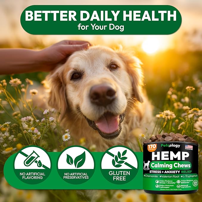 Hemp Calming Chews for Dogs - 170 Dog Calming Chews - Anxiety Relief Treats - Advanced Stress Relief Supplement, Separation Aid, Barking, Fireworks, Melatonin - Hip & Joint Support - Made in USA