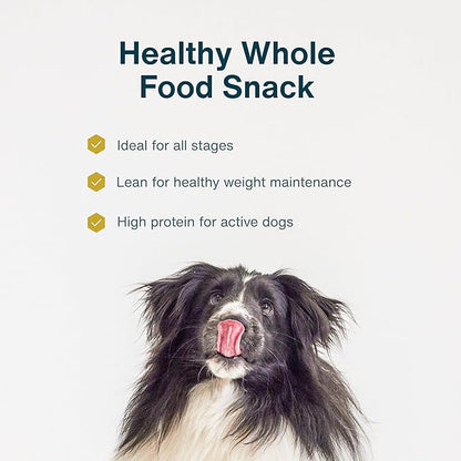JustFoodForDogs Ingredient Healthy Dog Treats and Dog Snacks,Jerky Treats,Human Grade,Preservative and Grain Free,Rawhide Free Chews,Low Calorie Treat - Pork,5 oz,(Pack of 2)
