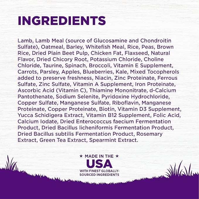 Wellness Complete Health Adult Dry Dog Food, Wholesome Grain Kibble, Natural, Lamb and Barley Recipe, 26 lb Bag