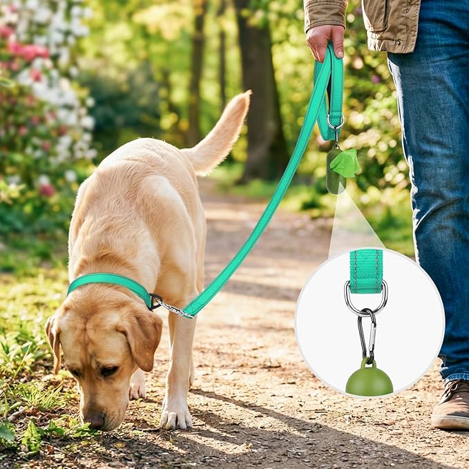 Joytale Dog Leash, 5 FT Double-Sided Reflective, Padded Handle Nylon Heavy Duty Leashes for Medium & Large Dogs Walking, Teal