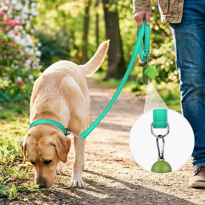 Joytale Dog Leash, 5 FT Double-Sided Reflective, Padded Handle Nylon Heavy Duty Leashes for Medium & Large Dogs Walking, Teal