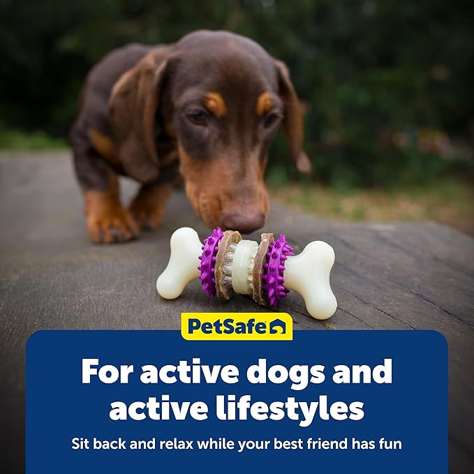 PetSafe Busy Buddy Bristle Bone - Chew Toy for Dogs - Boredom Relief & Dental Care - Durable Nylon Build with Rubber Nubs - Includes Treat Ring Refills - Dishwasher Safe Design