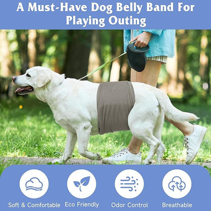 5 Pack Dog Diapers Male Reusable, Premium Belly Bands for Male Dogs, High Absorbing Dog Pee Wraps for Doggie in Incontinence or Excitable Urination and Training Green L