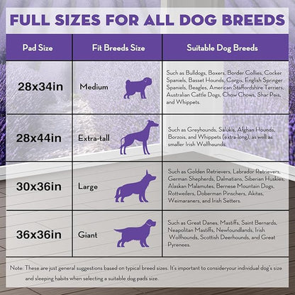 CROCI Dog Pads Extra Large 36x36in, Puppy Pads with Adhesive Tabs Super Absorbent Up to 11 Cups, Disposable (100 Counts)