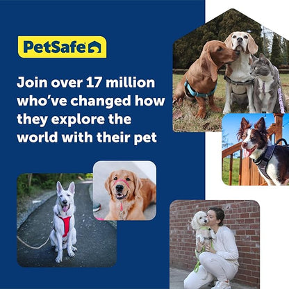 PetSafe Gentle Leader Headcollar No-Pull Dog Collar - Helps Improve Walks - Durable Nylon Construction - Padded Nose Loop - Adjustable Fit - Comfort Walking Halter - Large, Charcoal (Pack of 6)