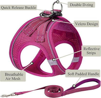 Dog Harness with Leash Set, No Pull Adjustable Reflective Step-in Puppy Pet Vest Harnesses for Small Medium Large Dogs and Cats,Rose Red L