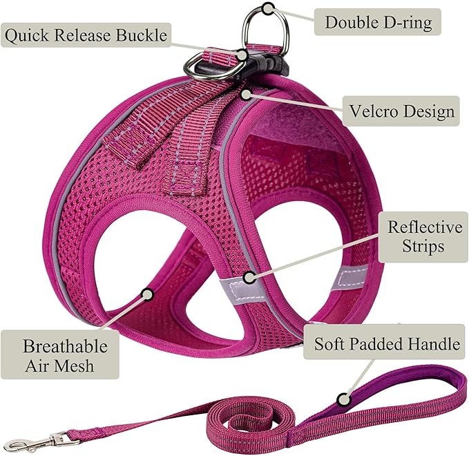 Dog Harness with Leash Set, No Pull Adjustable Reflective Step-in Puppy Pet Vest Harnesses for Small Medium Large Dogs and Cats,Rose Red XS