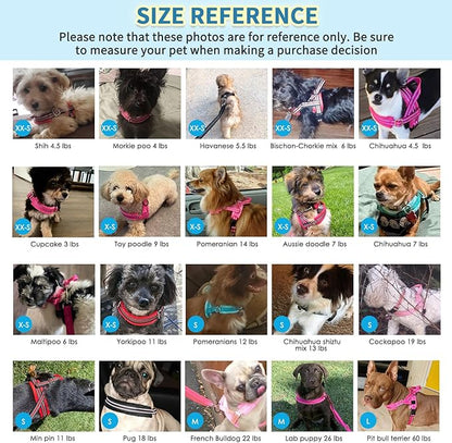 SlowTon No Pull Small Dog Harness and Leash Set, Puppy Soft Vest Harness Neck & Chest Adjustable, Reflective Lightweight Harness & Anti-Twist Pet Lead Combo for Small Medium Dogs (DB-Front Clip, XS)