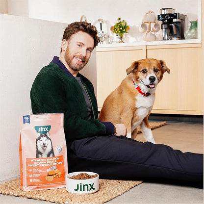 Jinx Premium Dry Dog Food, for All Life-Stages - Real Salmon, Brown Rice & Sweet Potato Kibble with Superfoods for Immune Support & Probiotics for Digestive Support - No Fillers – 4lb (Pack of 2)