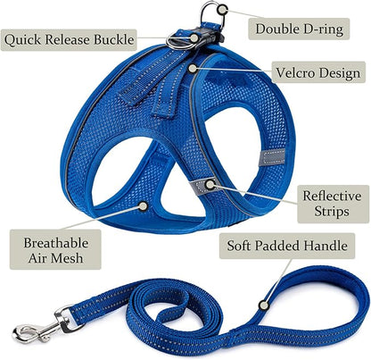 BOOMIBOO Dog Harness with Leash Set, No Pull Adjustable Reflective Step-in Puppy Pet Vest Harnesses for Small Medium Large Dogs and Cats,Blue L