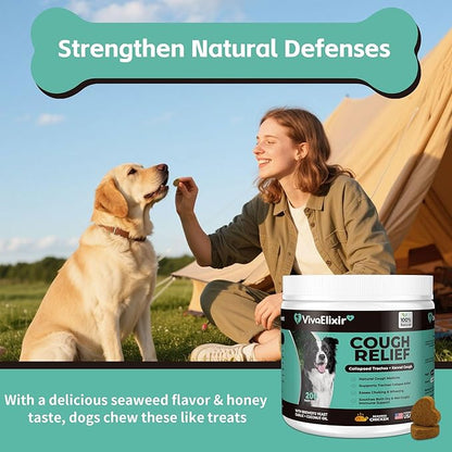Kennel Cough Medicine for Dogs – Natural Respiratory Support | Helps Soothe Tracheal Collapse, Dry & Wet Cough, Choking & Wheezing | Honeysuckle, Licorice, Lemon Balm 200 Chew