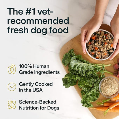 JustFoodForDogs JustFresh Wet Dog Food, Fresh Pet Meals and Toppers with No Preservatives, Resealable Package, Human Grade, Home-Cooked Pork, 12 oz - 7 Pack