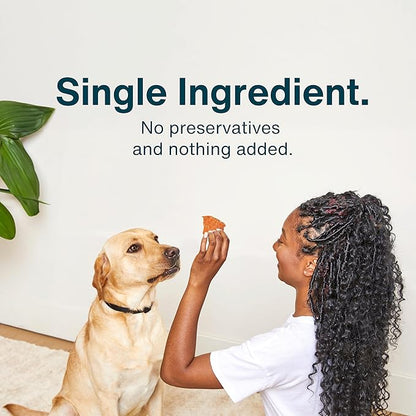 JustFoodForDogs Single Ingredient Healthy Dog Treats and Dog Snacks, Jerky Treats, Human Grade, Preservative and Grain Free, Rawhide Free Chews, Low Calorie Treat - Beef Brisket, 5 oz