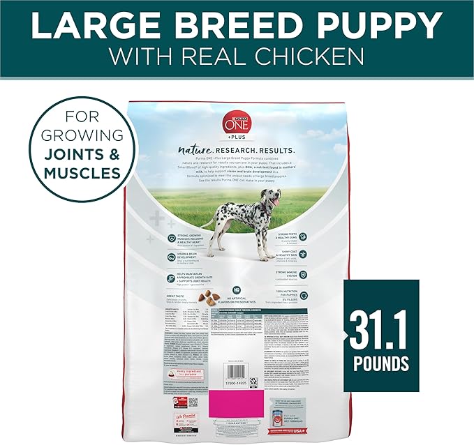 Purina ONE Plus Puppy Dry Dog Food for Large Dogs High Protein Growth Support, Real Chicken - 31.1 lb Bag