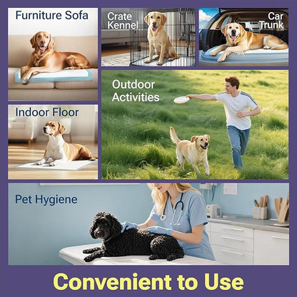 CLEAN SPACES Lavender Scented Puppy Pads 100 Count, Super Absorbent Disposable Pee Pads for Dogs That Neutralize Odor, Wee Wee Pads / Potty Training Pads 22"x22"