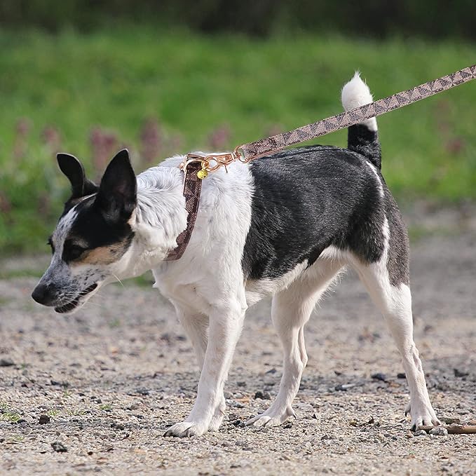 Dog Leather Collar and 4 ft Leash, KUDES Adjustable Basic Collar with Bell Checkered Pattern Durable Leather Collar and Leash with Metal Buckle for Small Medium Large Dogs