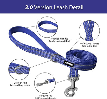 AIITLE Easy Walk Dog Harness and Leash Set - Pet Supply No Pull, Step in Adjustable Dog Harness with Padded Vest, Dog Harness No Choke Over, Easy to Put on Medium Dogs Royal Blue L