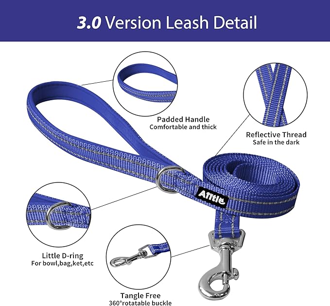 AIITLE No Pull Dog Harness and Leash Set, Step in Adjustable Dog Harness with Padded Vest for All Weather, Dog Leash with Soft Padded Handle, Easy to Put on Small and Medium Dogs Royal Blue S