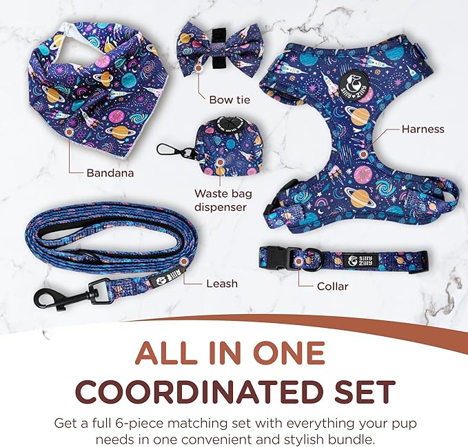No Pull Harness and Leash Set - 6-in-1 Adjustable Vest Harness and Collars for Medium and Large Dogs. (Cosmic, Medium)