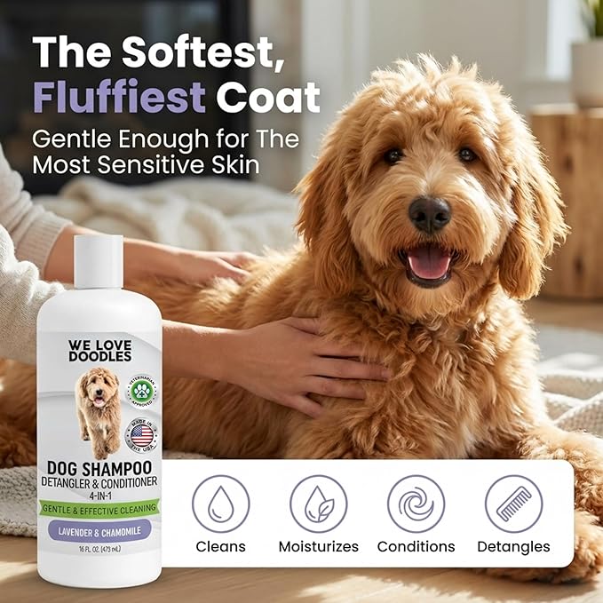 Dog Shampoo, Conditioner & Detangler - Best Shampoo for Goldendoodles, Poodles & Doodles Pet Hair - Hypoallergenic, Tearless, Sensitive Skin for Puppies & All Dog Breeds - Made in USA, 16OZ (Lavender)