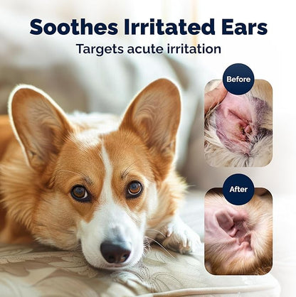 Vetnique Oticbliss Cat & Dog Ear Infection Treatment | Dog Ear Allergy Relief Drops, MicroSilver Yeast Infection Treatment for Dogs, Hydrocortisone for Itching, Redness Swelling (Ear Infection Drops)