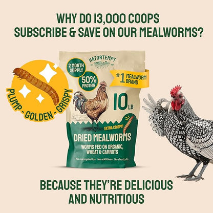 Hatortempt Bulk Dried Mealworms - 10 Lb Bag - Non-GMO Dried Mealworms for Chickens, Ducks & Wild Birds - High-Protein Chicken Feed & Bird Food