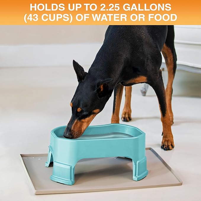Neater Pet Brands Extra Large Water Bowl for Dogs, Elevated Outdoor Dog Water Bowl (2.25 Gallon XL Capacity), Big Trough Style Food Dish for Indoors or Outside, No Spill Large Dog Bowls, Aquamarine