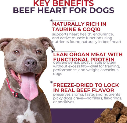 Momentum Carnivore Nutrition Freeze-Dried Beef Heart Dog Treats & Cat Treats – Single-Ingredient, High-Protein, Grain-Free – Made in USA – 3 oz Bag
