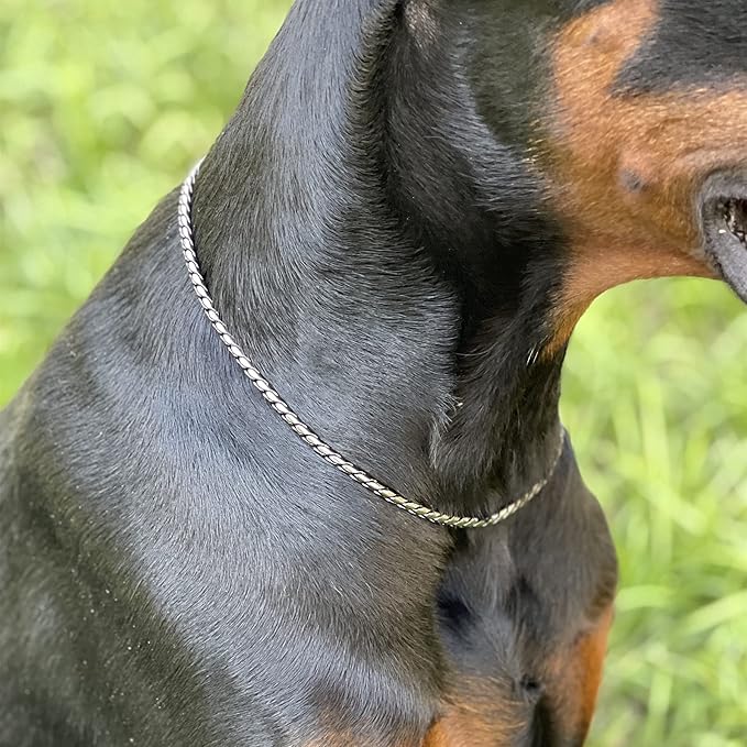 Dog P Snake Chain Chrome Plated Metal Dog Training Choke/Collar-Fully Guaranteed Against Rust Tarnish or Breakage-Recommended for Professional Training (Sliver, 4mm * 20")