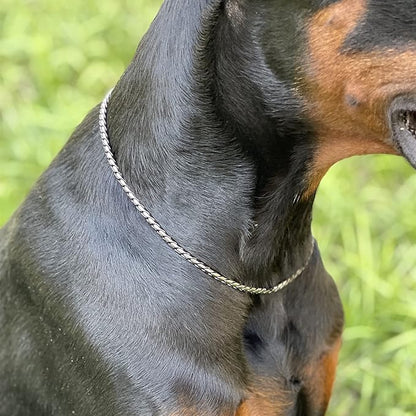 Dog P Snake Chain Chrome Plated Metal Dog Training Choke/Collar-Fully Guaranteed Against Rust Tarnish or Breakage-Recommended for Professional Training (Sliver, 4mm * 20")