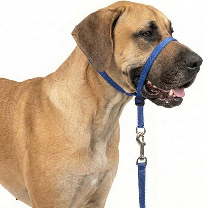 Headcollar for Dogs, Extra Soft Padded, Reflective, No Pull Dog Collar, Gentle Leader for Dogs with Durable Nylon Leash, Padded Handle - Navy Blue (X-Large)