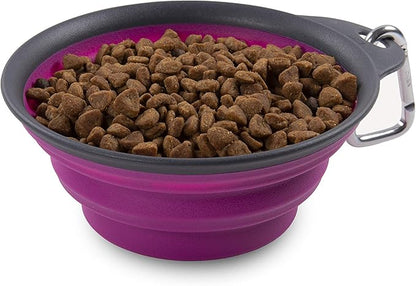 Dexas Pets Collapsible Travel Cup, Large/2 Cup Capacity, Fuchsia