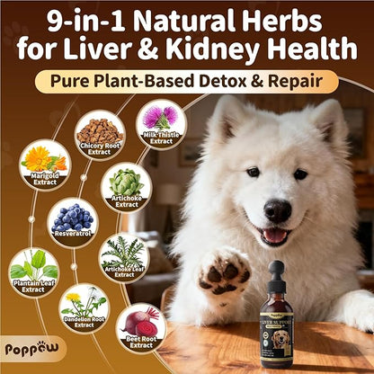 Milk Thistle for Dogs – 9-in-1 Liver and Kidney Support Drops with Artichoke, Resveratrol, Marigold Extract, 100% Natural Detox Supplement for Liver Function, Split Dropper, Bacon Flavor, 2Oz