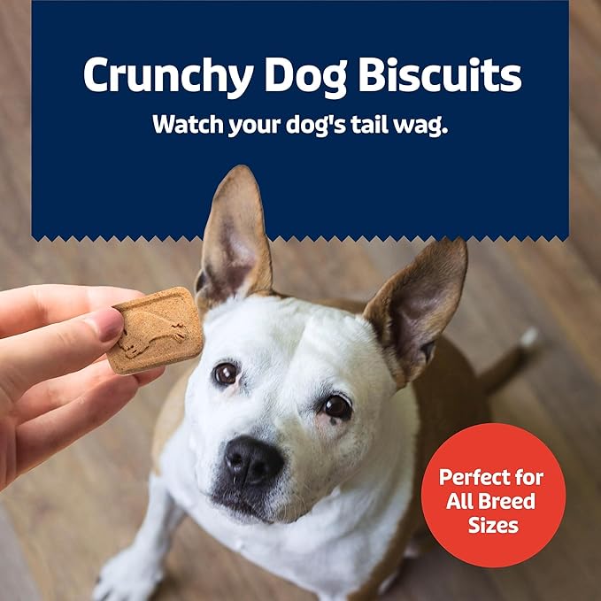 Blue Buffalo Health Bars Crunchy Dog Biscuits, Oven-Baked with Natural Ingredients, Bacon, Egg & Cheese, 3.5-lbs Box