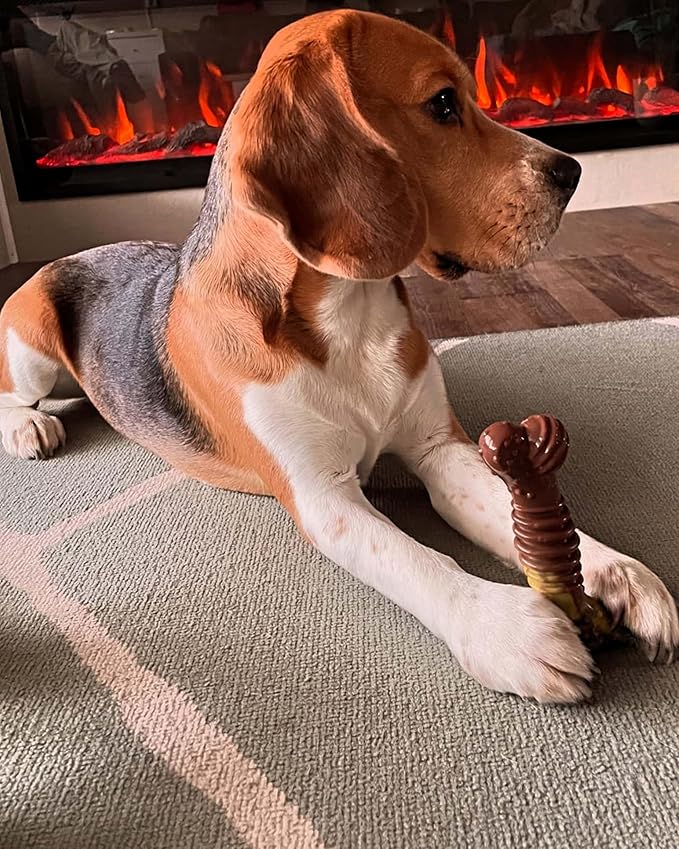 Nylabone Groove Bone Power Chew Toy for Dogs, Dental Dog Toys for Aggressive Chewers, Dog Chew Bone, Long Lasting Philly Cheesesteak, For Medium Dogs - Up to 35 lbs, 1 Count