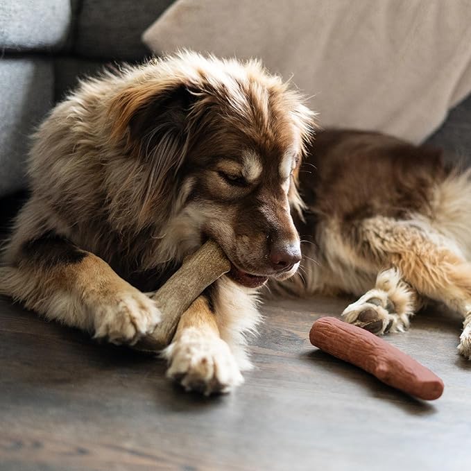 Pupstages Dogwood Mesquite Dog Chew Toy – Real-Wood Blend, Moderate Chewers, Medium, 7.5", 2-Pack (Natural & Mesquite Flavors)