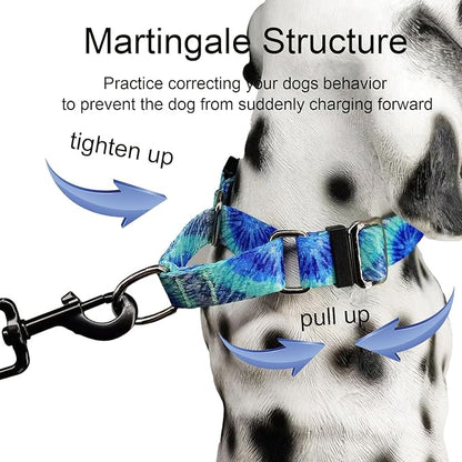 Martingale Collar with Buckle Blue Tie Dye Training Collar Adjustable Nylon Boy Dog Collars (Blue Teal, Small)