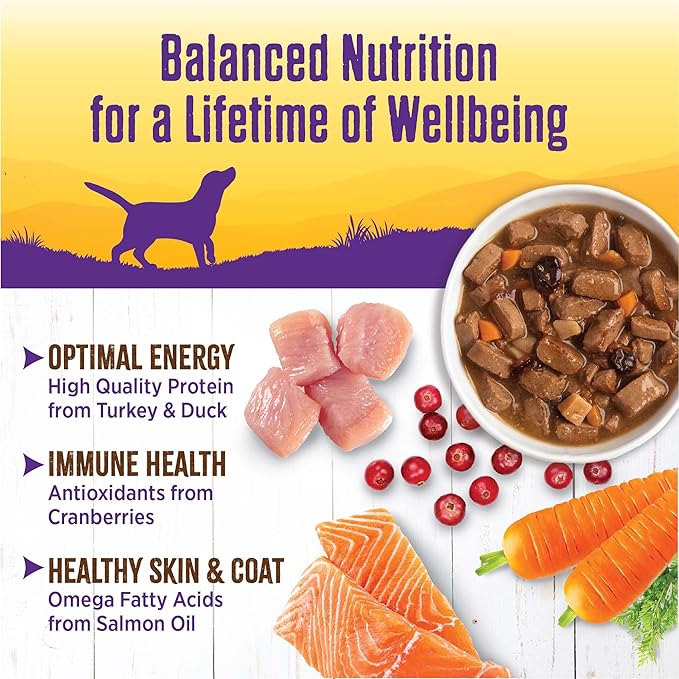 Wellness Complete Health Stew Adult Canned Wet Dog Food, Grain Free, Natural, Turkey and Duck Recipe, 12.5 oz, Pack of 12 Cans