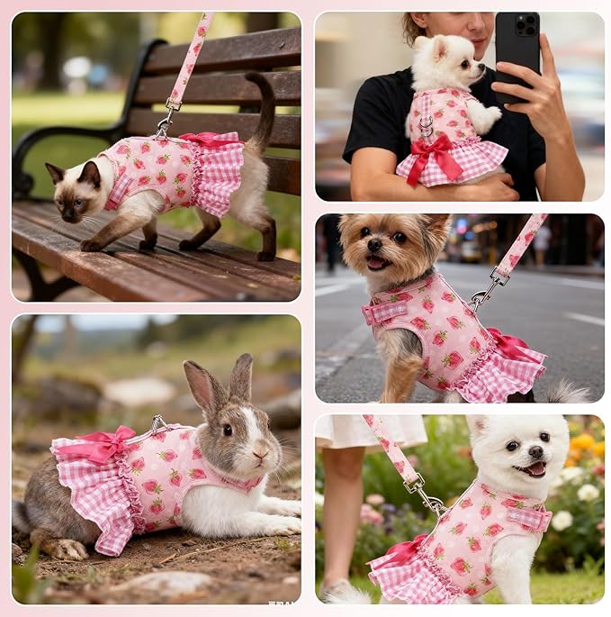 EXPAWLORER Dog Harness Small Medium Sized Dogs, Plaid Dog Dress Bowknot Harness and Leash Set, No Choke No Pull Soft Mesh Vest Cute Princess Puppy Outfits Clothes Costume for Girls Party Cats Pink S