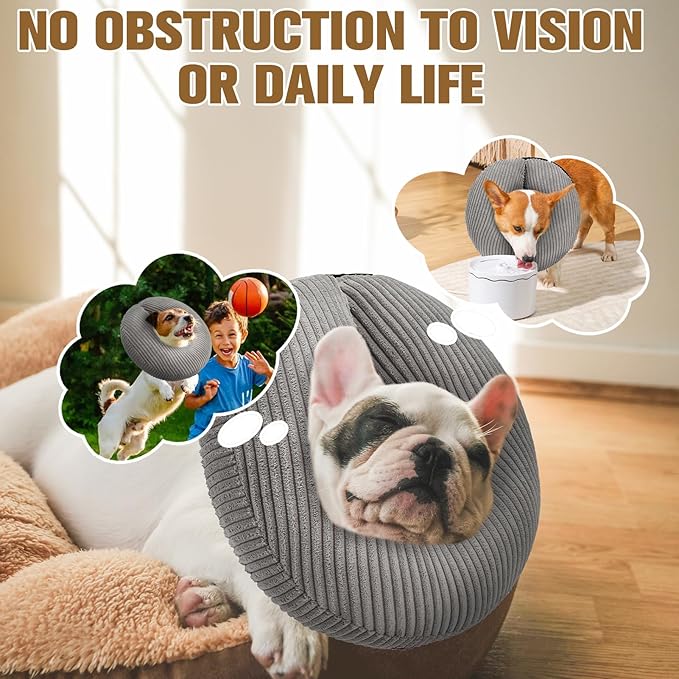 BINGPET Inflatable Dog Cone Collar Alternative After Surgery,Soft Recovery Cone for Dogs to Stop Licking,Dog Blow up Protective Neck Donut ECollars Adjustable for Large Medium Small Pet,Upgrade M Grey
