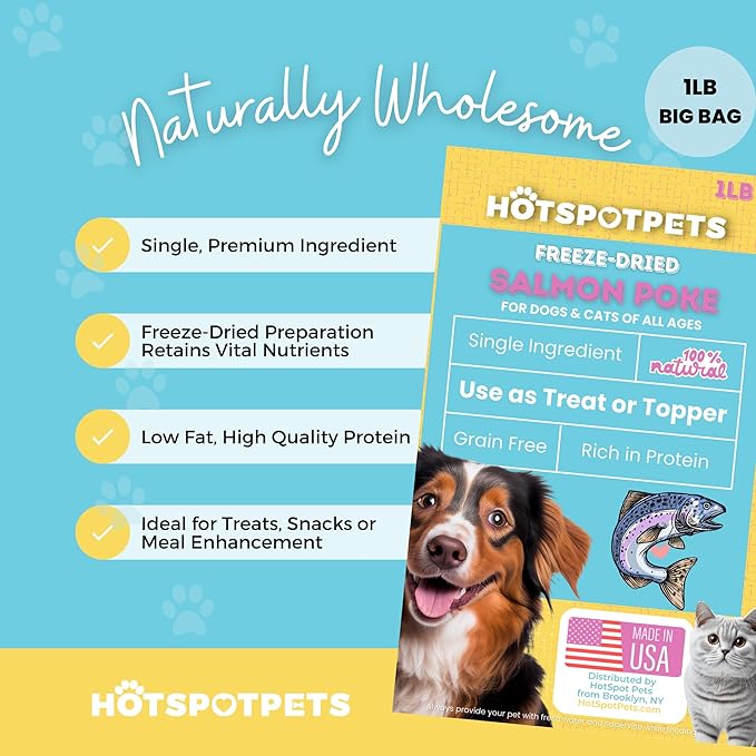 hotspot pets Freeze Dried Salmon Treats for Cats & Dogs - Made in USA - 1LB Resealable Big Bag - Single Ingredient, High Protein, All Natural Grain-Free - Perfect for Training, Topper or Snack