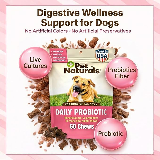 Pet Naturals Daily Probiotic Soft Chews for Dogs, Digestive and Immune Support Supplement, 1 Billion CFU Per Chew, Duck, 60 Count